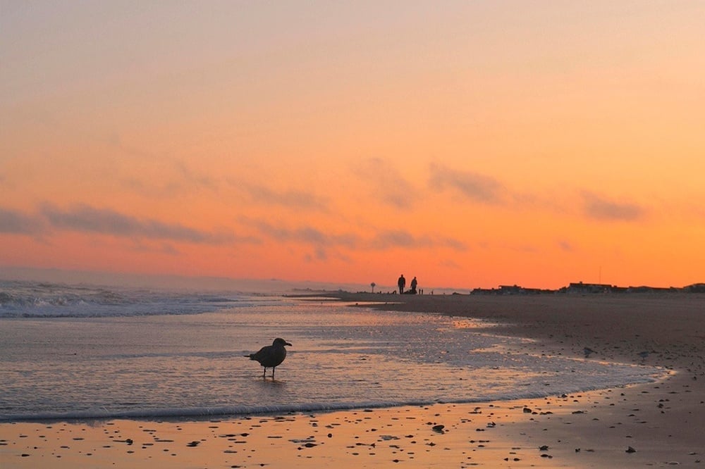 una terraza con mesas y sillas y sombrillas en un día soleado