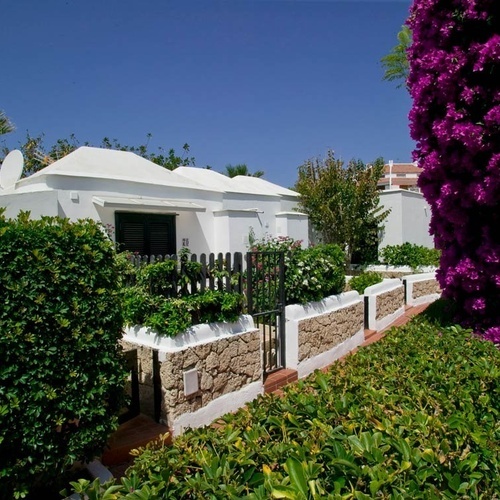 a white house with purple flowers in front of it