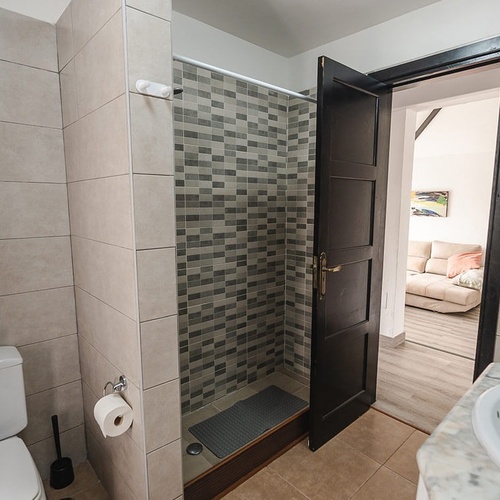 a bathroom with a toilet a sink and a walk in shower