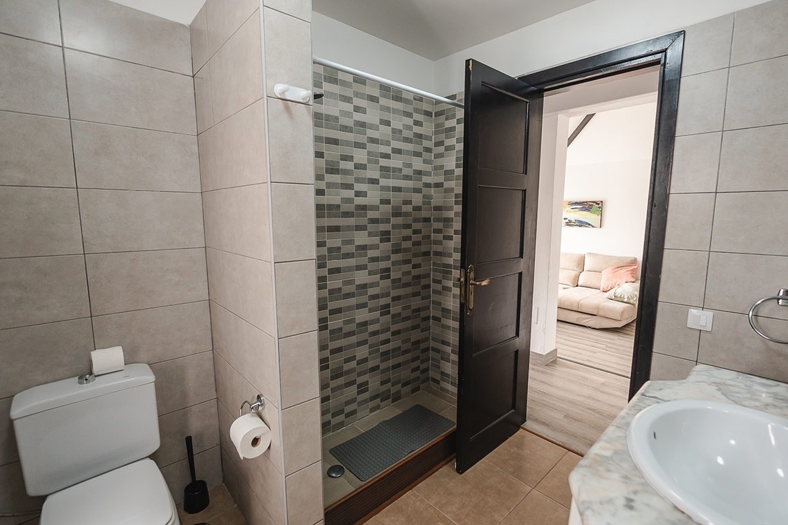 a bathroom with a toilet a sink and a walk in shower