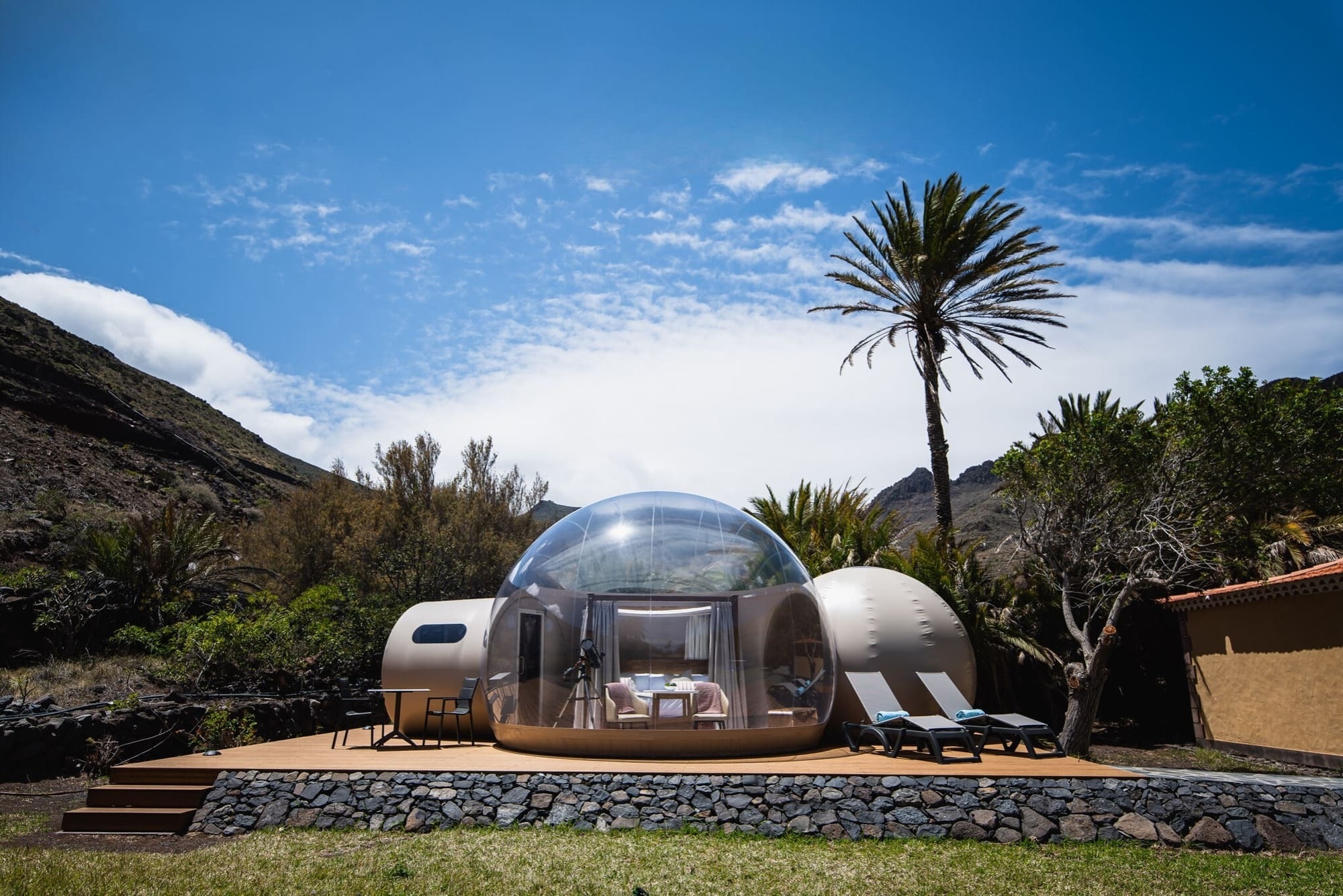 a bubble house with a palm tree in the background