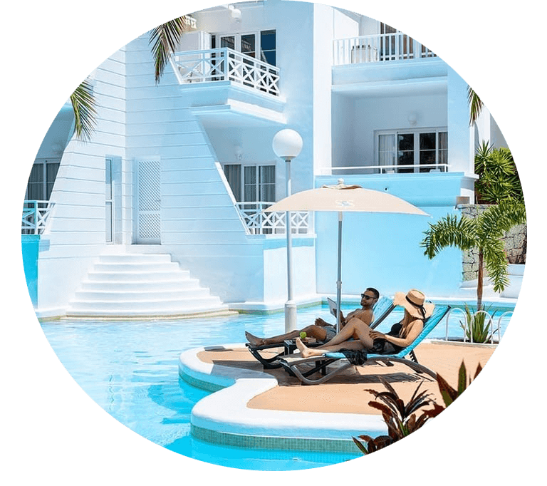 a tree stands on the shore of a beach with a boat in the distance