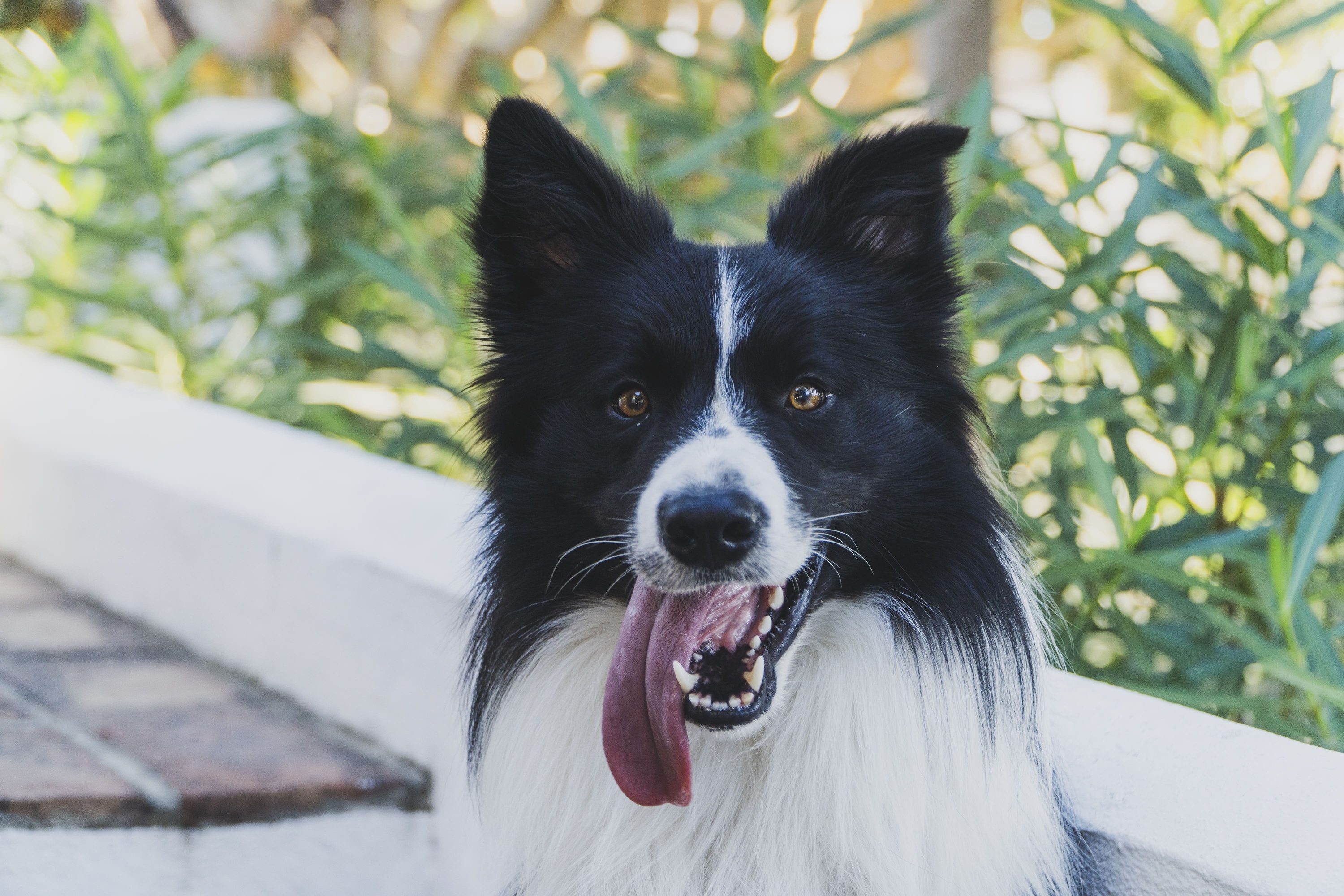 Inmood San Roque Hotel