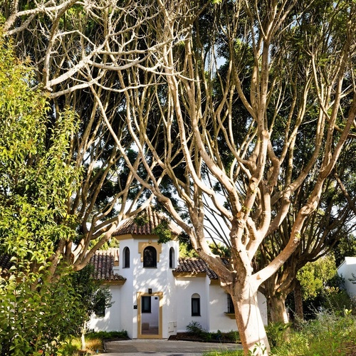 a white house with a tiled roof is surrounded by trees