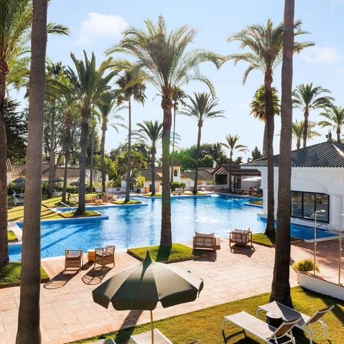 a large swimming pool surrounded by palm trees and chairs