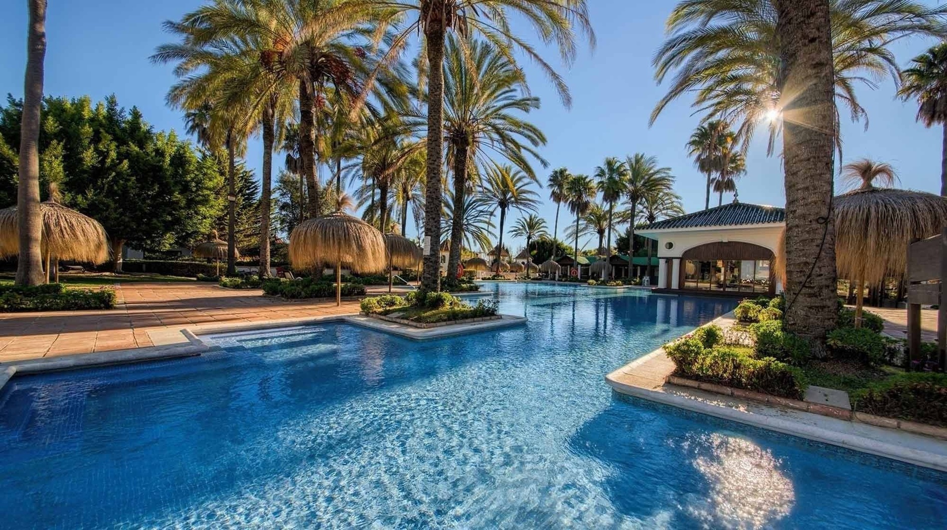 una gran piscina rodeada de palmeras y sombrillas