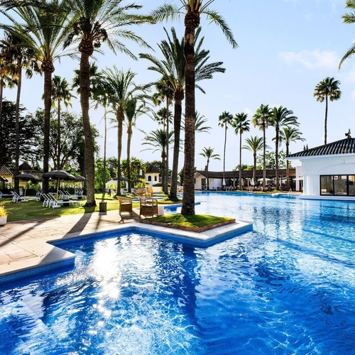 a large swimming pool surrounded by palm trees