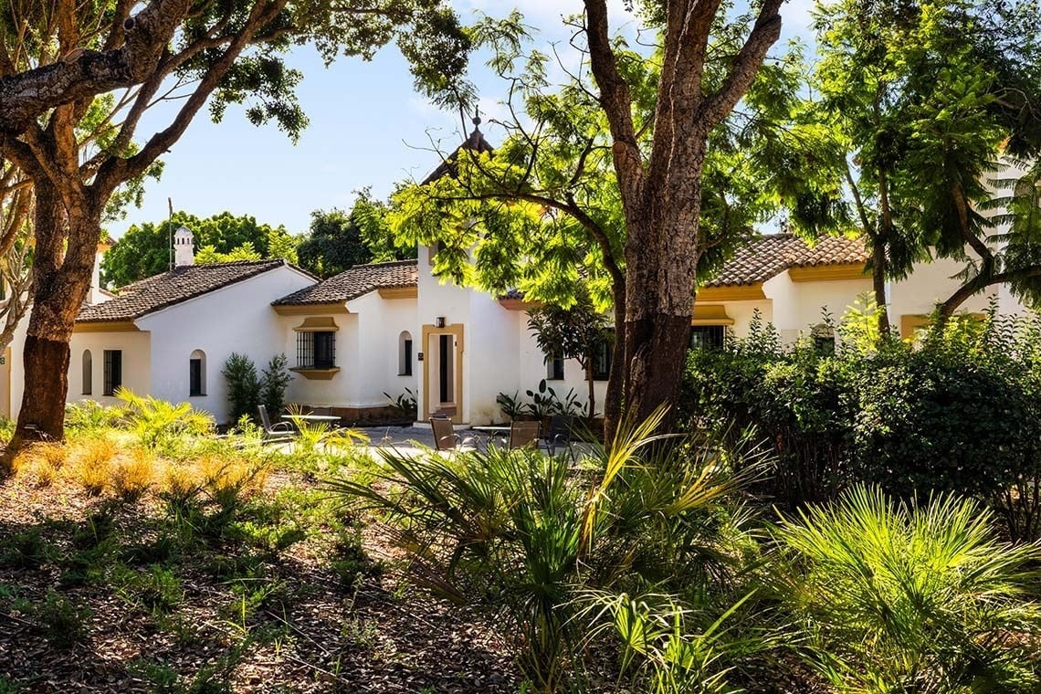 una casa blanca está rodeada de árboles y plantas