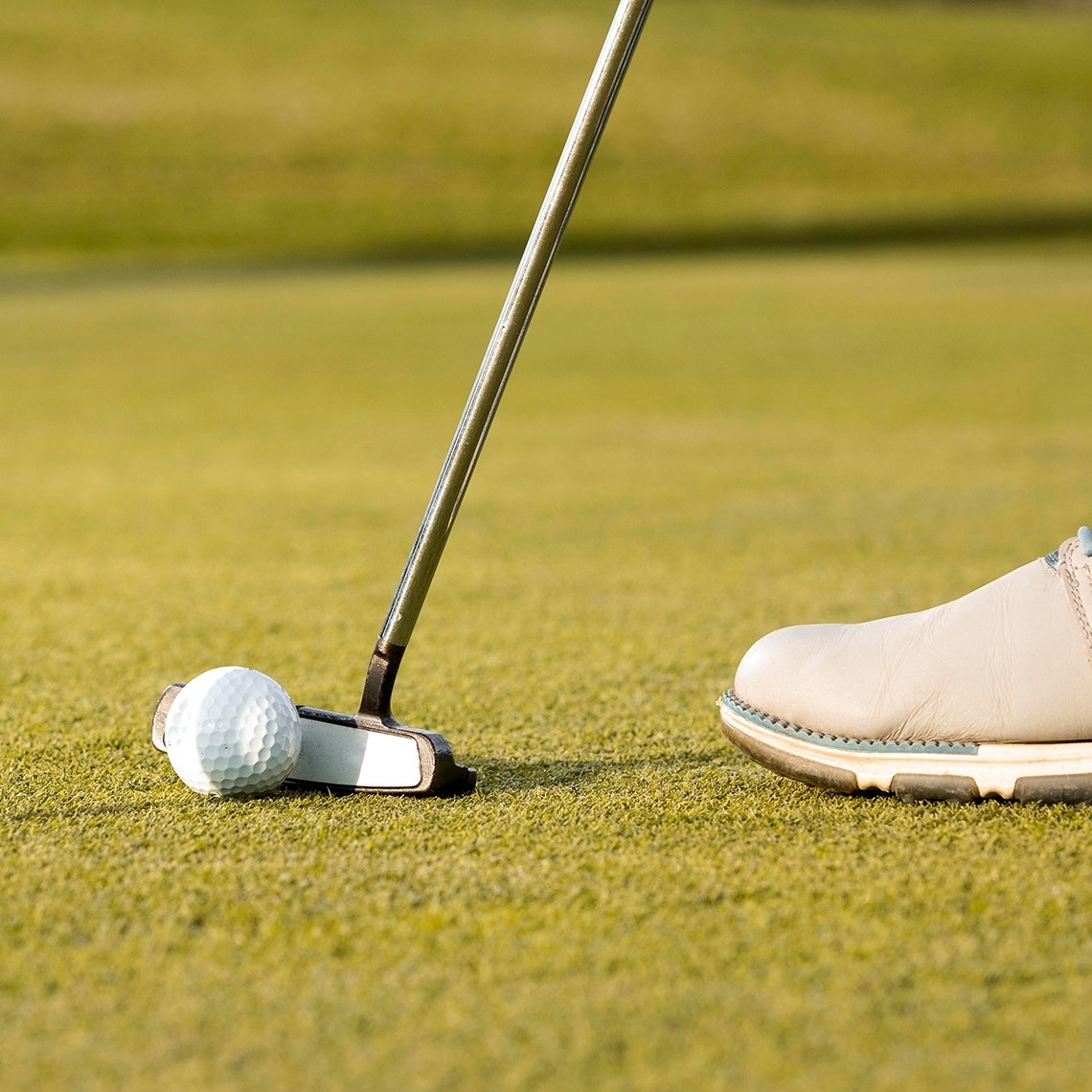 
                                    un golfista pone una pelota de golf en el green