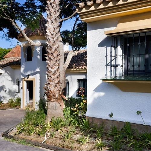 a white house with a palm tree in front of it