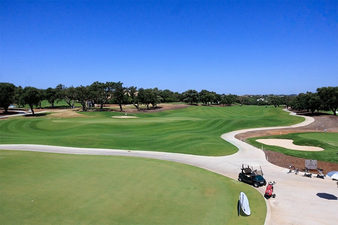 un grupo de hombres y mujeres sostienen esteras de yoga en un parque