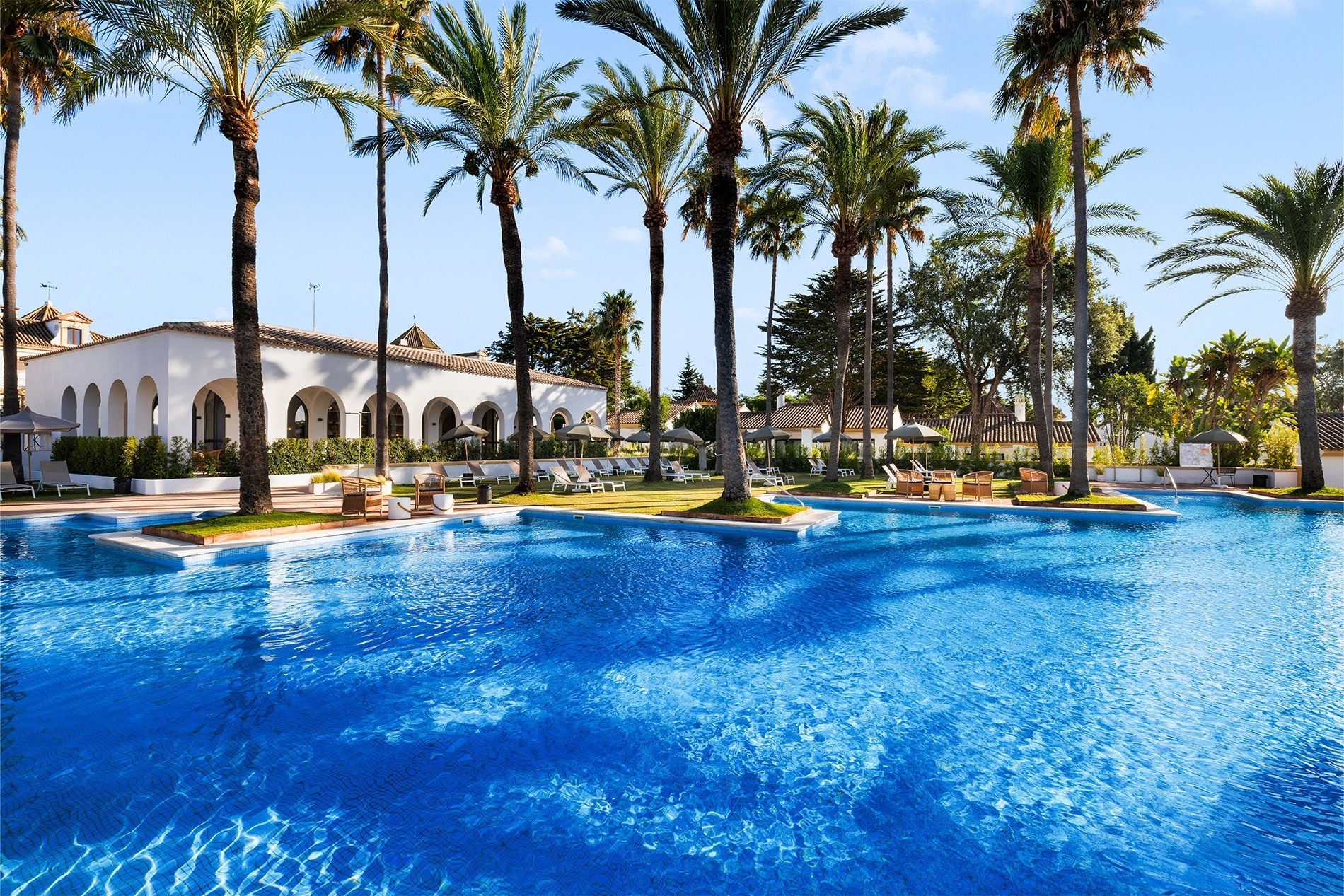 a large swimming pool surrounded by palm trees and umbrellas