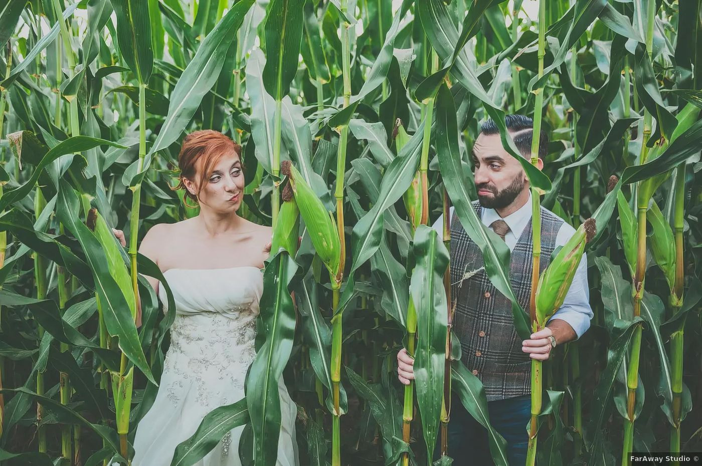 Casal entre as espigas de milho da quinta.