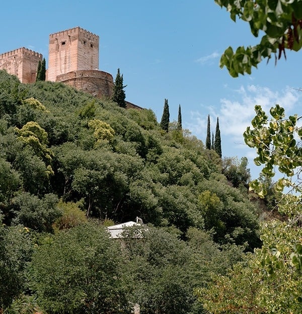 a castle sits on top of a hill surrounded by trees