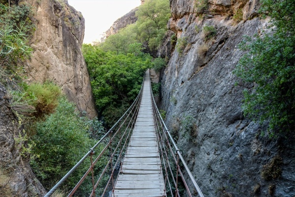 a suspension bridge between two cliffs with trees on both sides