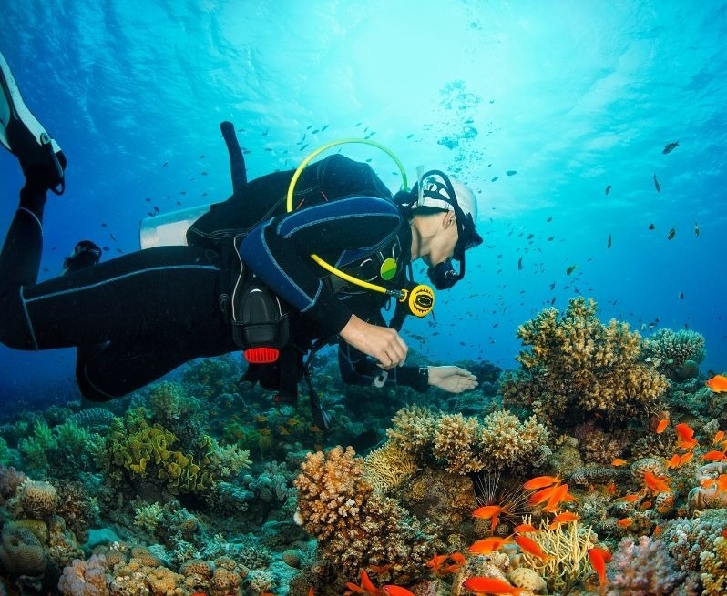 un buzo nada sobre un arrecife de coral rodeado de peces