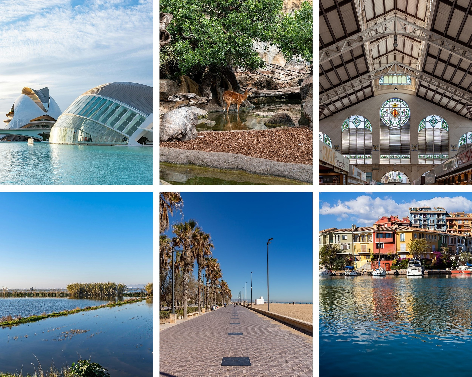 Explore Valencia: L'Oceanogràfic & Port Saplaya. Best things to do with kids for a spring family trip.