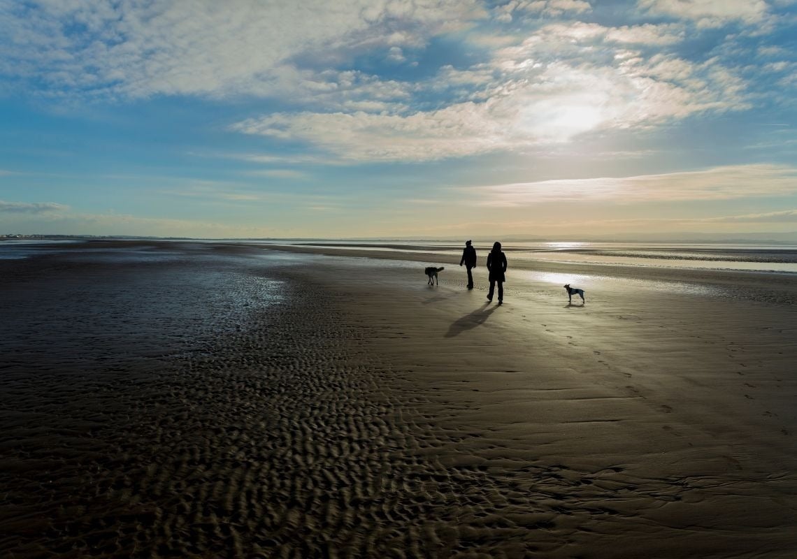 Enjoy the beach in winter: walk your dogs on this sandy shore, Port Saplaya.
