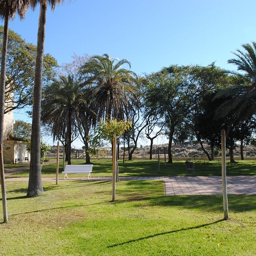un parque con bancos y palmeras y un edificio en el fondo
