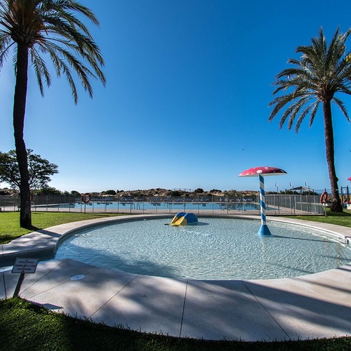 una pequeña piscina rodeada de palmeras y un parque infantil