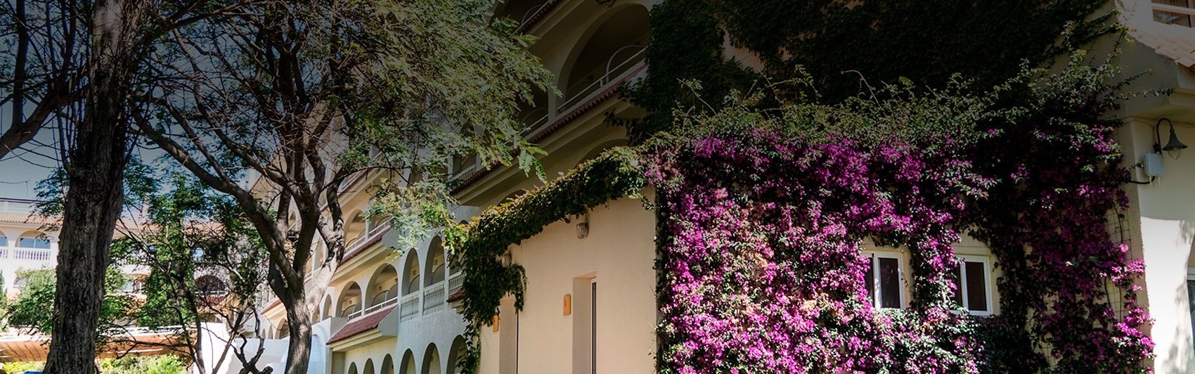 un edificio blanco cubierto de flores moradas y hojas verdes