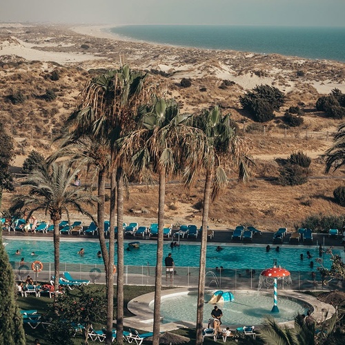 una vista aérea de una piscina rodeada de palmeras