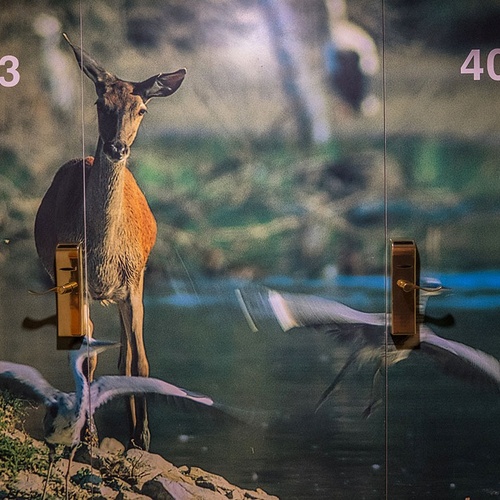 una imagen de un ciervo junto a las palabras 4012 y 4013