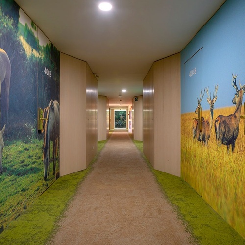 un pasillo con murales de animales y la habitación 404