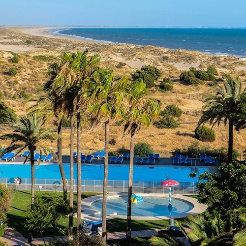 una vista aérea de una piscina rodeada de palmeras