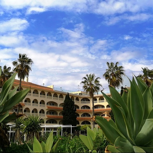 un gran edificio con palmeras en el fondo