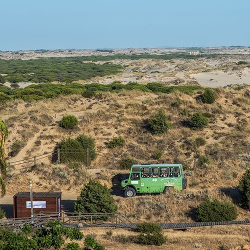 un autobús verde conduce por un camino de madera en medio de un desierto