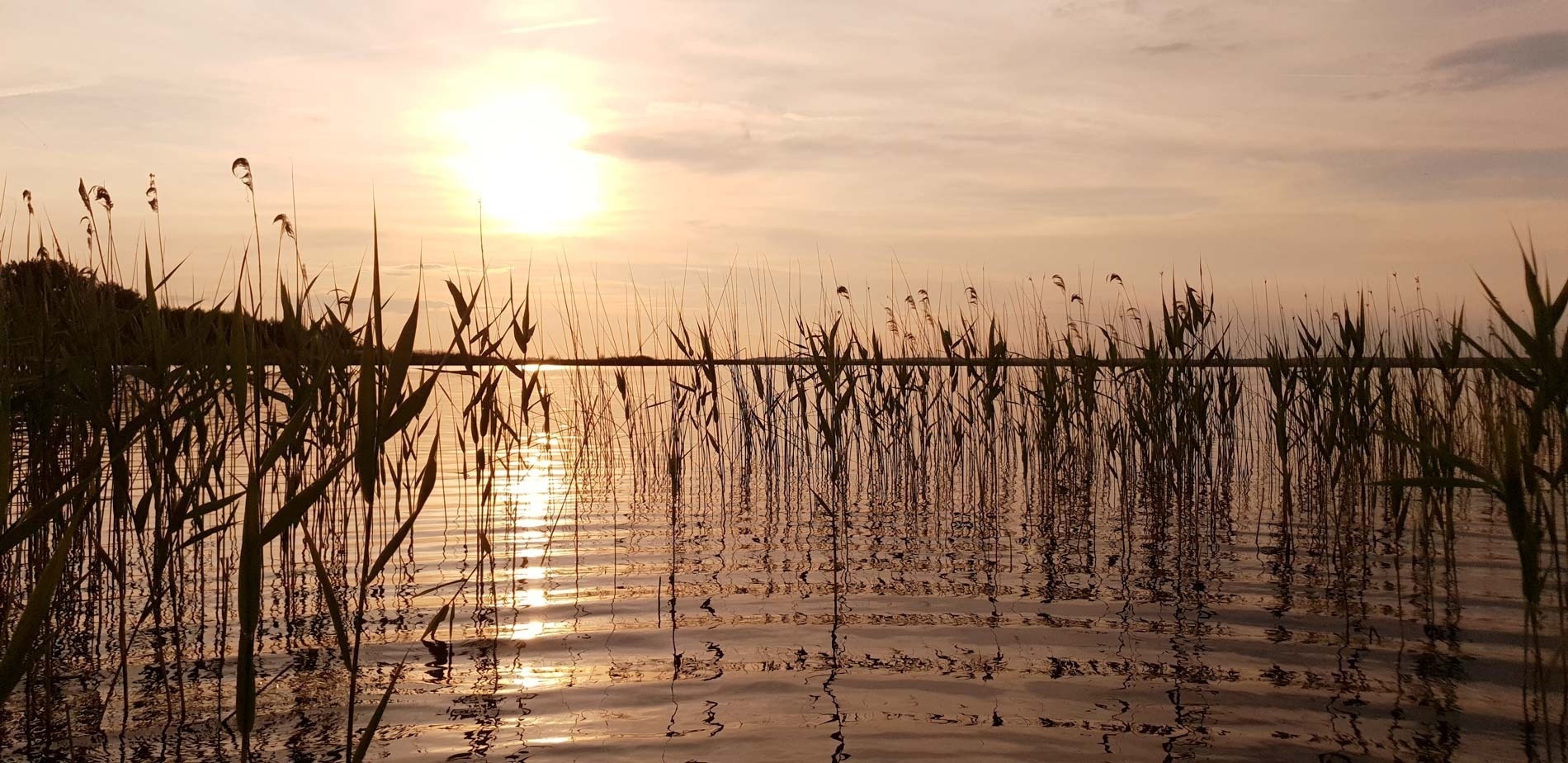 Restauración del hotel