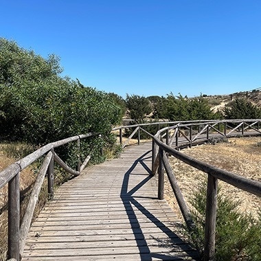 un puente de madera conduce a una playa en un día soleado .