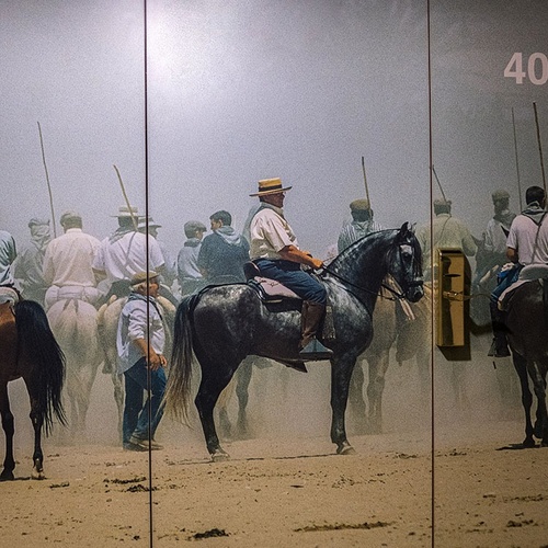 un grupo de hombres montan a caballo en la arena junto a la número 4033