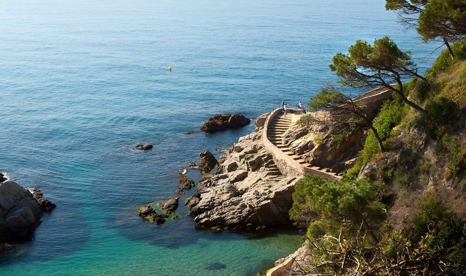 stairs leading up to a cliff overlooking the ocean