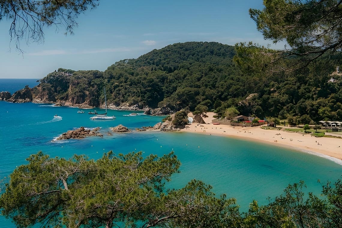 лодка плывет по спокойной воде рядом с пляжем