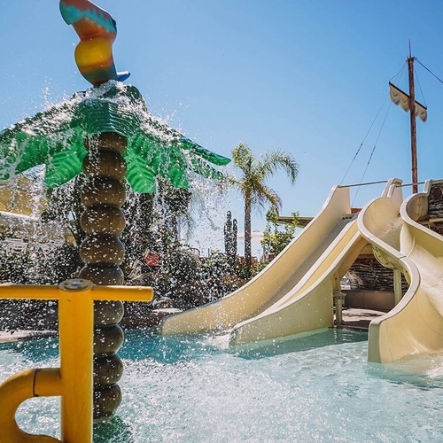 una piscina con un tobogán y una palmera en el fondo