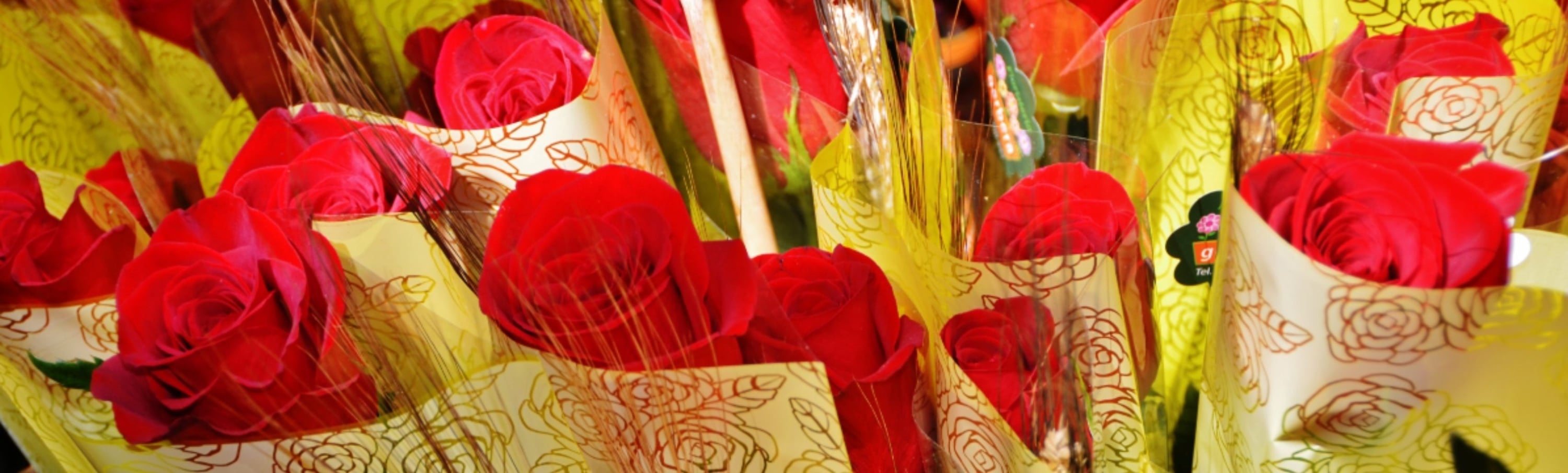 Lloret de Mar y alrededores: Sant Jordi en Lloret de Mar: una escapada de primavera entre libros y rosas