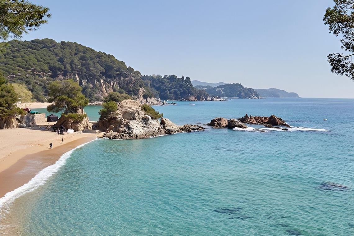 человек идет по песчаному пляжу рядом с океаном