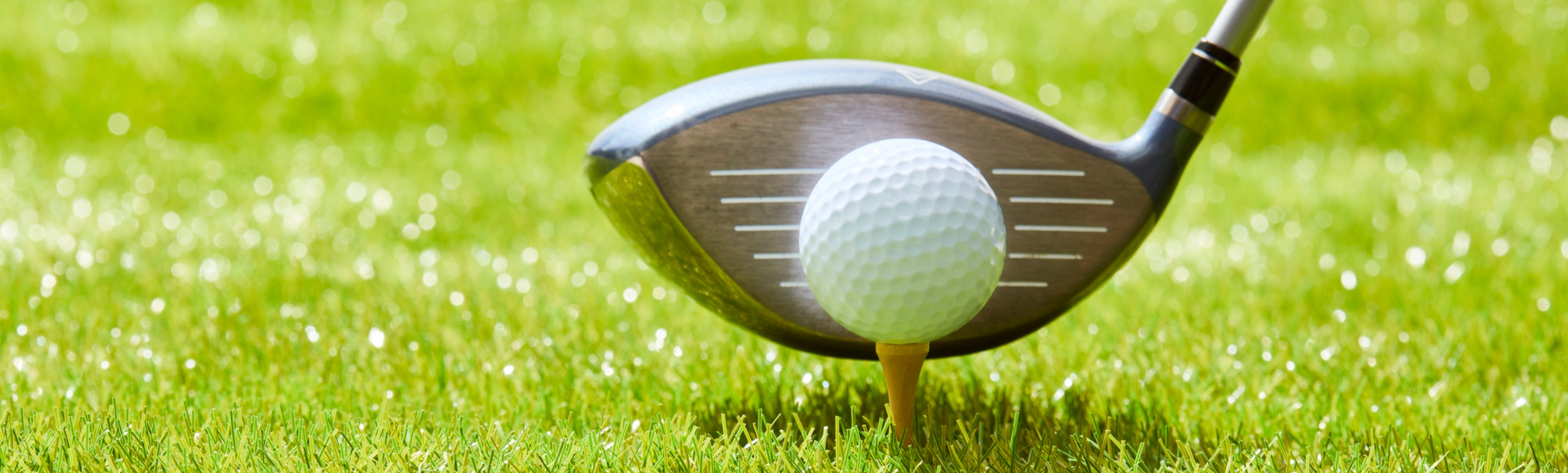 Moltes roses vermelles embolicades amb paper groc estampat amb roses i detalls de palla.