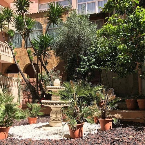 una fuente está rodeada de plantas en macetas en un patio