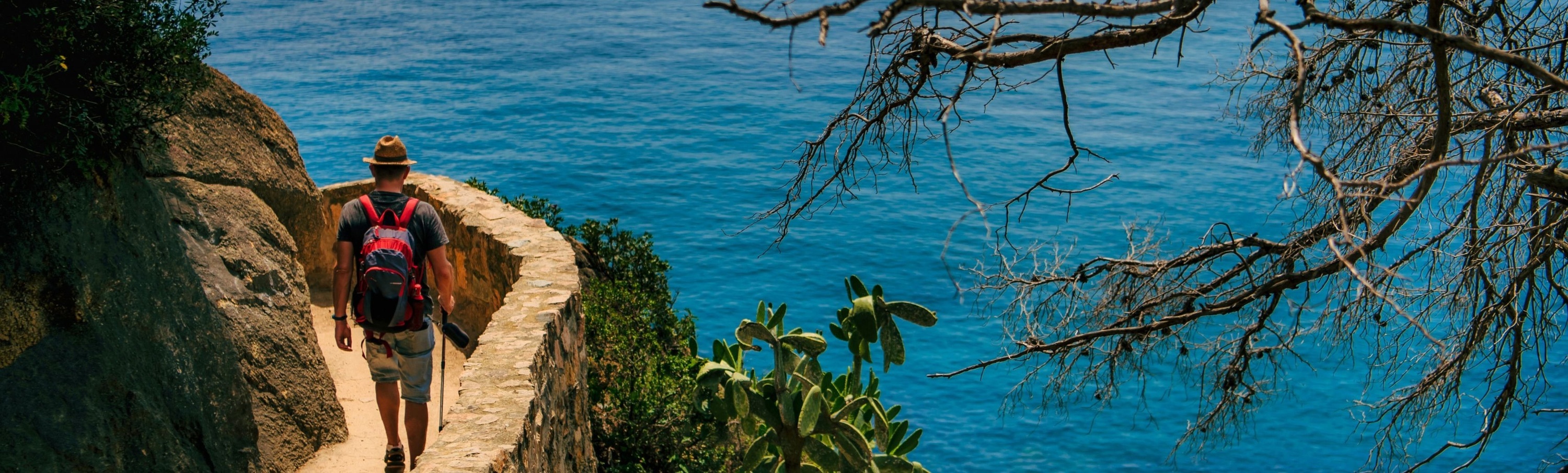 Ein Wanderer mit Rucksack geht auf einem gewundenen Küstenpfad entlang des tiefblauen Meeres, umrahmt von Felsen und kargen Baumästen.