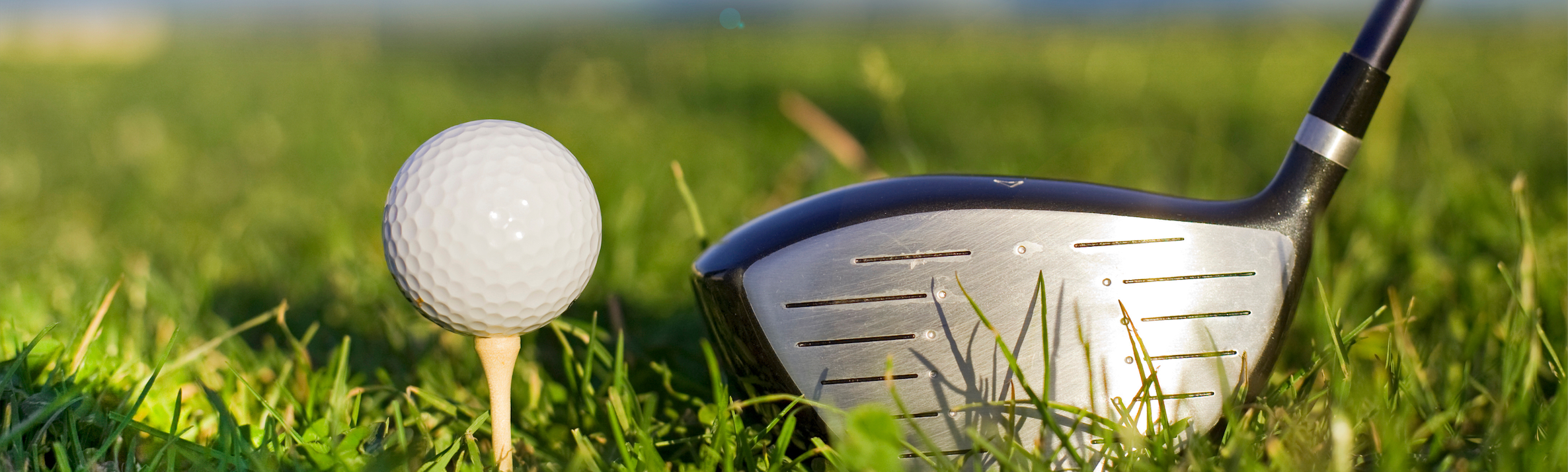 Un vibrante arreglo floral compuesto por rosas rojas, hojas de eucalipto y pequeñas flores blancas.