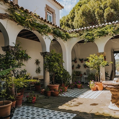 un patio con muchas macetas de plantas y una fuente