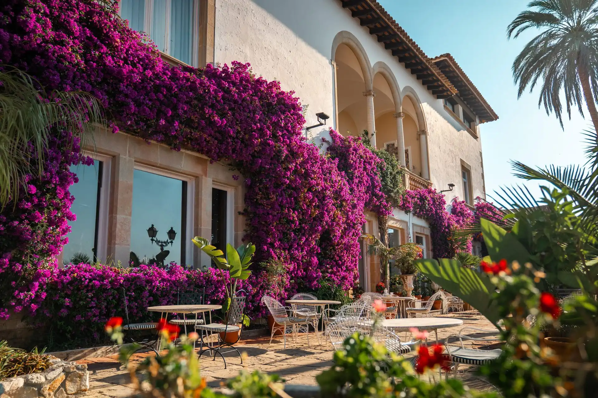 Fachada del Hotel Roger de Flor cubierta de buganvillas, con terraza y mesas al sol