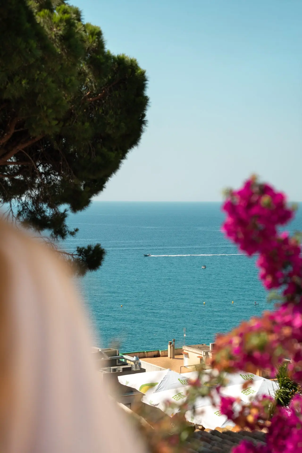Vista del mar Mediterráneo entre pinos y buganvillas desde el Hotel Roger de Flor
