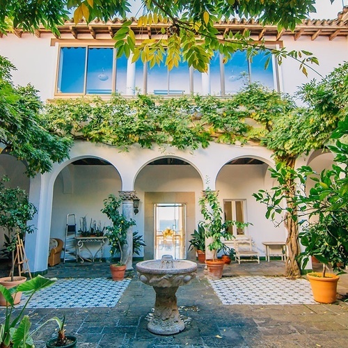 un patio con muchas plantas y una fuente