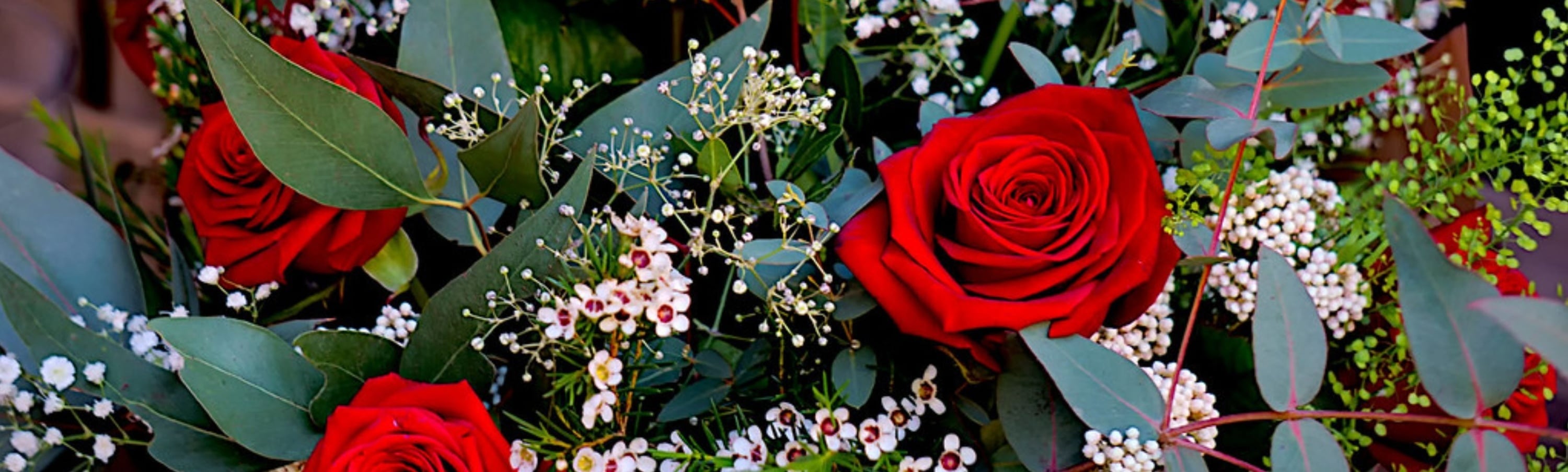 Sant Jordi à Lloret de Mar : roses, livres et Méditerranée