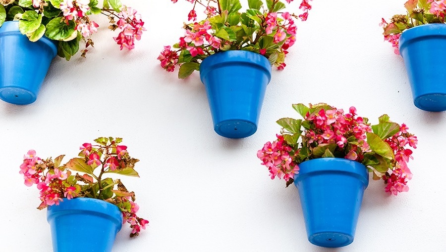 cuatro macetas azules con flores rosadas colgando de una pared blanca