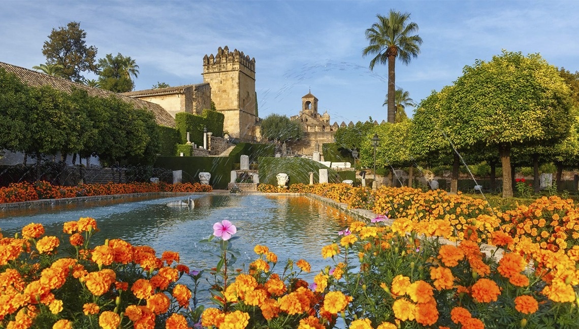 a pond surrounded by flowers with a castle in the background